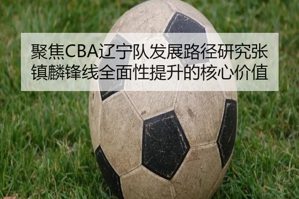 聚焦CBA辽宁队发展路径研究张镇麟锋线全面性提升的核心价值 | kaiyun